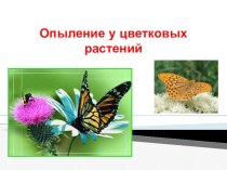 Презентація на тему : Опыление и оплодотворение цветковых растений