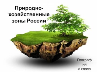 Природно-хозяйственные зоны РФ. Презентация по географии. 8 класс