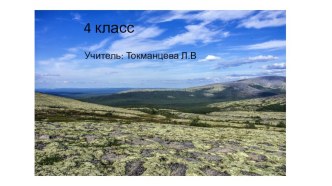 Презентация 4 класс. Тундра