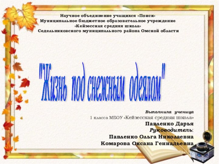 Научное объединение учащихся «Поиск» Муниципальное бюджетное образовательное учреждение  «Кейзесская средняя