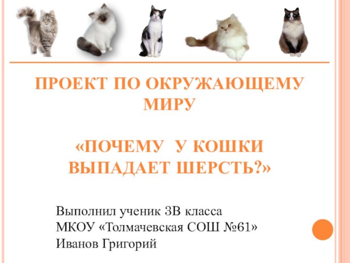 Проект по окружающемуМиру«Почему у кошки выпадает шерсть?»Выполнил ученик 3В классаМКОУ «Толмачевская СОШ №61»Иванов Григорий