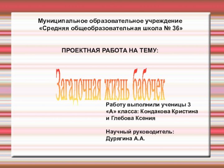 Загадочная жизнь бабочекМуниципальное образовательное учреждение «Средняя общеобразовательная школа № 36»ПРОЕКТНАЯ РАБОТА НА