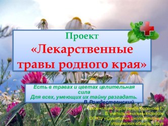 Презентация по внеклассной работе - проект Лекарственные травы родного края (1 - 4 класс)