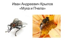 Презентация по чтению на тему: И.А. Крылов Муха и Пчела (8 класс, школа VIII вида)