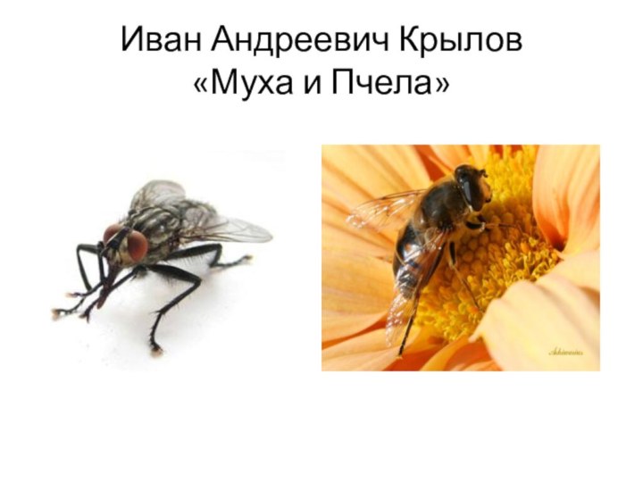 Иван Андреевич Крылов  «Муха и Пчела»