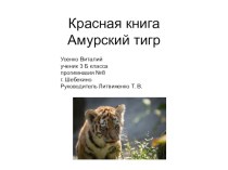 Презентация по окружающему миру. Проект Красная книга. Амурский тигр (2 класс)