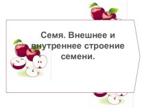 Презентация Строение семян двудольных и однодольных растений