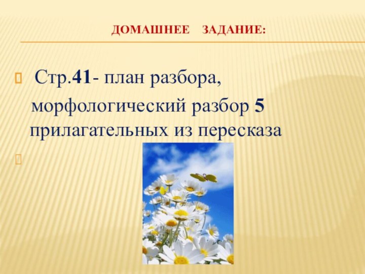 Домашнее  задание:  Стр.41- план разбора,  морфологический разбор 5 прилагательных из пересказа 