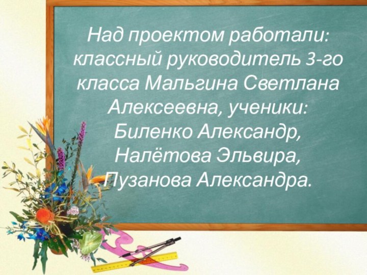 Над проектом работали: классный руководитель 3-го класса Мальгина Светлана Алексеевна, ученики: Биленко