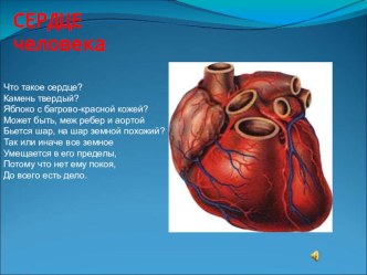 Презентация к уроку гигиена сердечно-сосудистой системы 8 кл