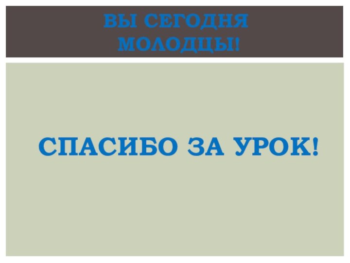 ВЫ СЕГОДНЯ  МОЛОДЦЫ!СПАСИБО ЗА УРОК!