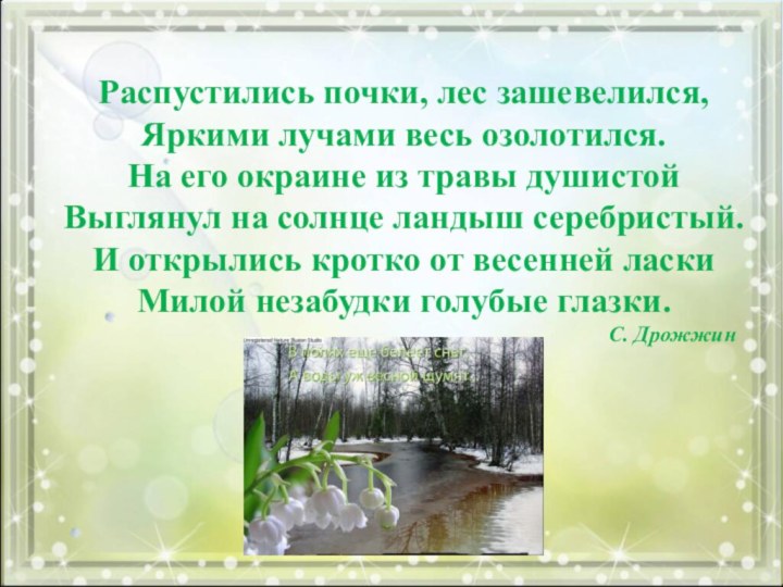 Распустились почки, лес зашевелился,Яркими лучами весь озолотился.На его окраине из травы душистойВыглянул