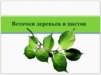 Презентация по изобразительному искусству ЛИНИЯ КАК СРЕДСТВО ВЫРАЖЕНИЯ. ХАРАКТЕР ЛИНИЙ. ВЕТОЧКИ ДЕРЕВЬЕВ, ЛИСТЬЯ И ЦВЕТЫ (2 класс)