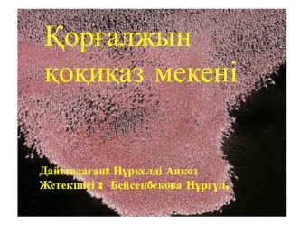 Коргалжын корыгы кокиказ мекени