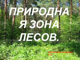 Урок Окружающий мир 4 класс УМК Школа России презентация на тему Природная зона лесов