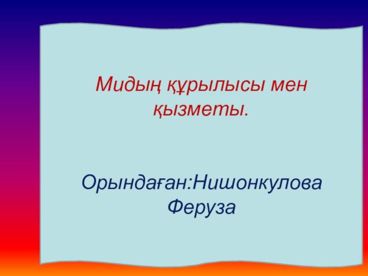 Мидың құрылысы мен қызметы.Орындаған:Нишонкулова Феруза