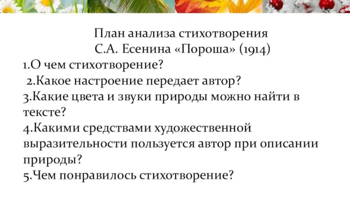 Тезисный план есенина. Анализ стихотворения пороша Есенин. Анализ стиха пороша. Анализ стихотворения пороша Есенин 6 класс. Анализ стихотворения пороша Есенин 6 класс по плану.