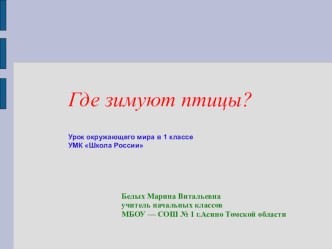 Презентация по окружающему миру на тему Где зимуют птицы