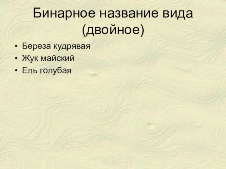 Бинарное название вида (двойное) Береза кудряваяЖук майский Ель голубая