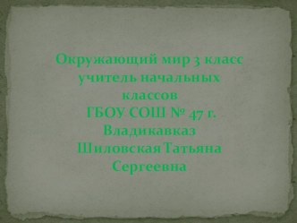 Презентация по окружающему миру Русская трапеза (3 класс)