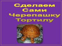 Презентация Сделаем сами черепашку Тортилу