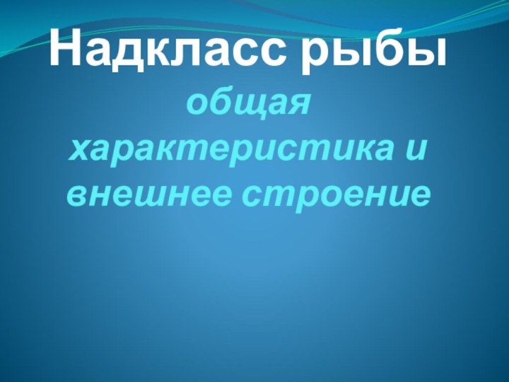 Надкласс рыбы общая характеристика и внешнее строение