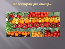 Презентация по технологии Овощи и фрукты