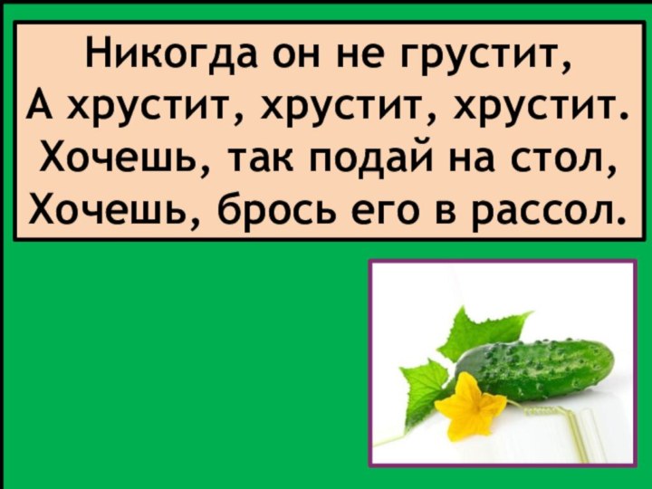 Никогда он не грустит, А хрустит, хрустит, хрустит. Хочешь, так подай на