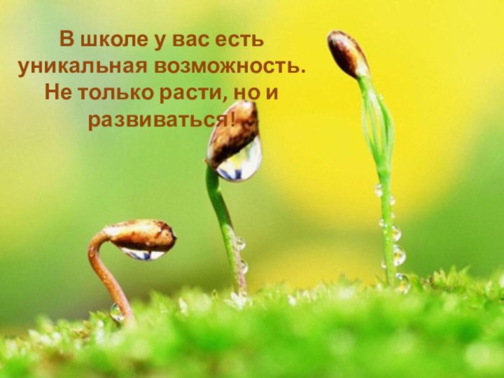 В школе у вас есть уникальная возможность. Не только расти, но и развиваться!