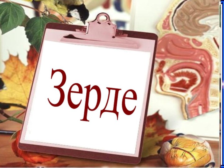 Зерде