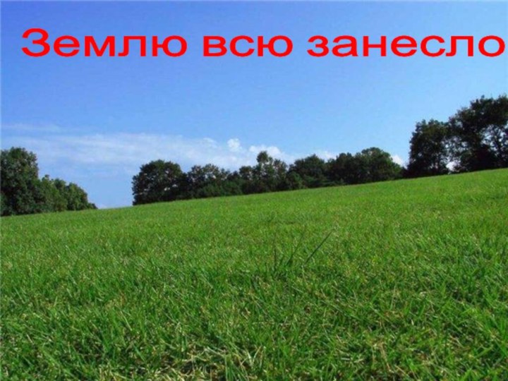 Землю всю занесло…