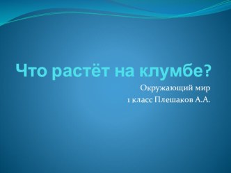 Презентация по Окружающему миру, 1 класс. Тема Что растёт на клумбе