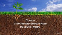Презентация по географии на тему Почвы и почвенно-земельные ресурсы мира (8 класс)