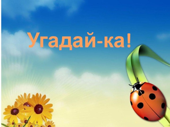 Угадай-ка!