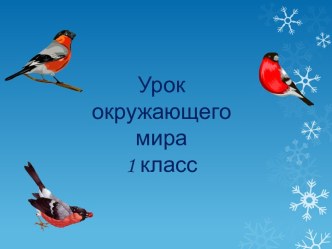 Презентация по окружающему миру на тему Где зимуют птицы? (1 класс)