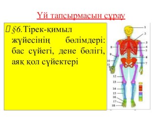 Сабақ Организмнің ішкі ортасы