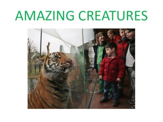 Презентация по английскому языку на тему Amazing creatures (3 класс)
