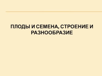 Презентация к уроку биологии Плоды и семена