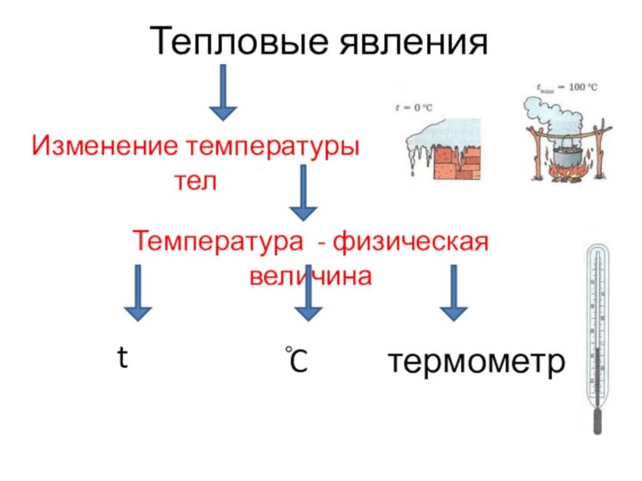 Тепловые явленияИзменение температуры телТемпература - физическая величинаt̊Cтермометр