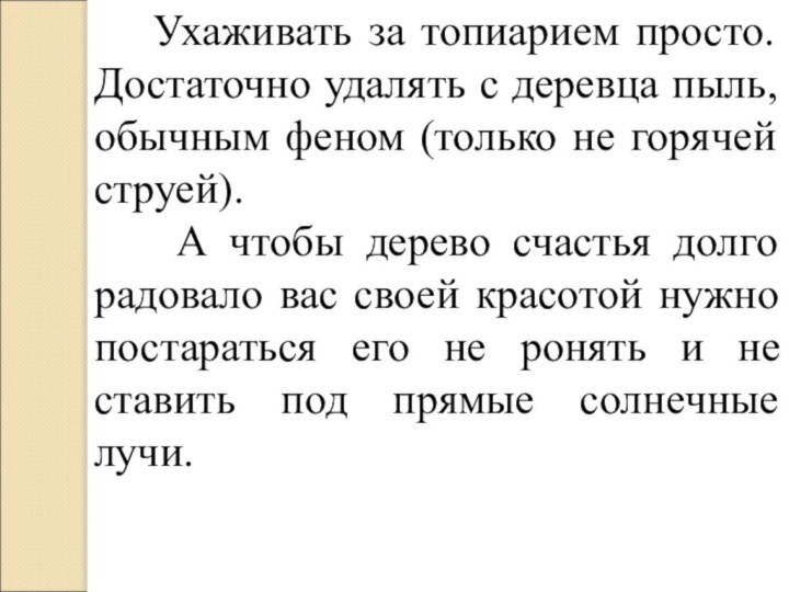 Ухаживать за топиарием просто. Достаточно удалять с деревца пыль, обычным