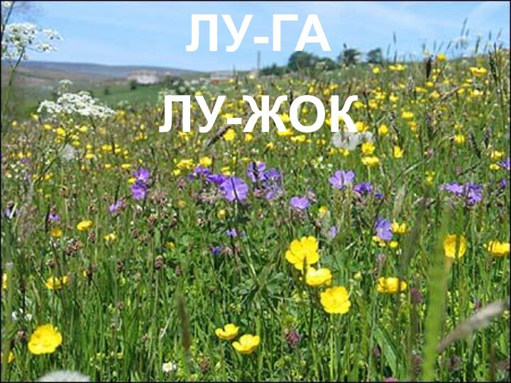 ЛУГЛУ-ГАЛУ-ЖОК