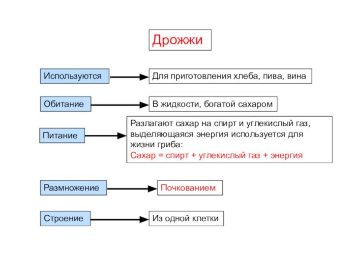 Дрожжи Используются Для приготовления хлеба, пива, винаОбитание В жидкости, богатой сахаромПитание Разлагают