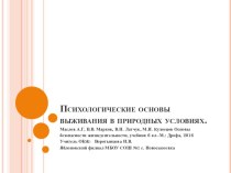 Презентация по ОБЖ на тему Психологические основы выживания в природных условиях