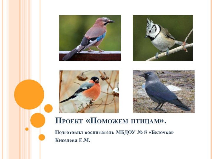 Проект «Поможем птицам».Подготовил воспитатель МБДОУ № 8 «Белочка»Киселева Е.М.