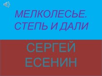 Презентация к стих-ю С.Есенина Мелколесье,степь и дали