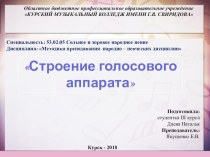 Строение голосового аппарата