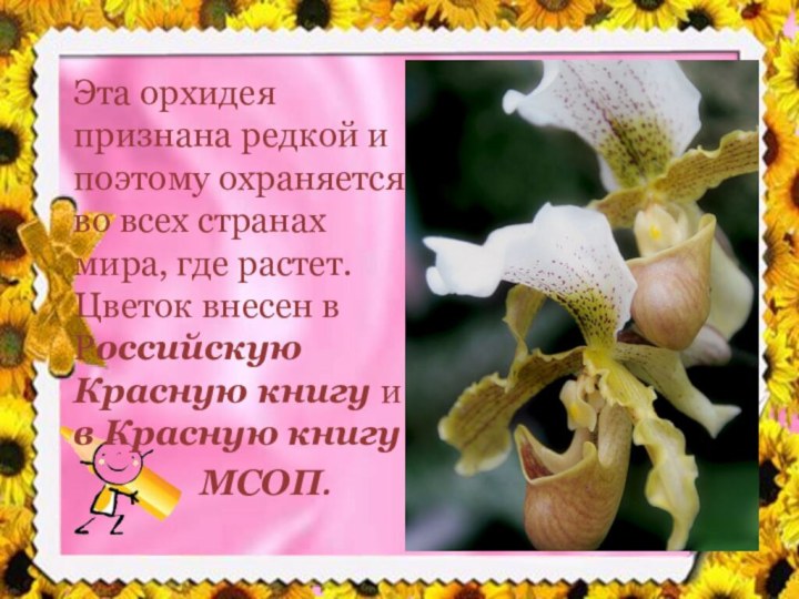 Эта орхидея признана редкой и поэтому охраняется во всех странах мира, где