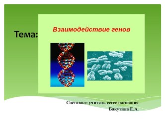 Презентация по биологии на тему Взаимодействие генов