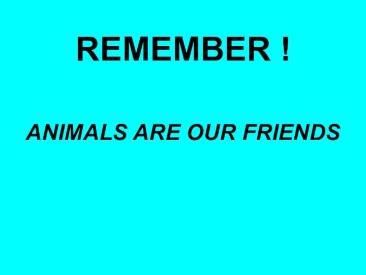 REMEMBER !ANIMALS ARE OUR FRIENDS