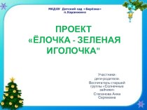 Презентация проекта Ёлочка Зелёная иголочка в старшей группе